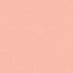 Meet your Posher, Ashala